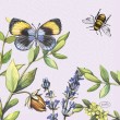 Salvetes 24x24cm 20gab Cheery Butterflies